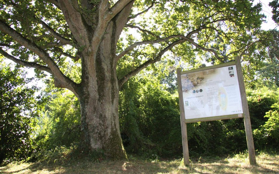 Arboretum d'Amance, Amance, Meurthe-et-Moselle, France, France